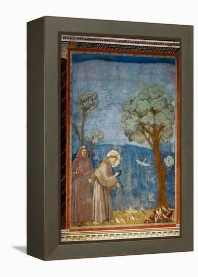 The Preaching To the Birds-Giotto di Bondone-Framed Premier Image Canvas