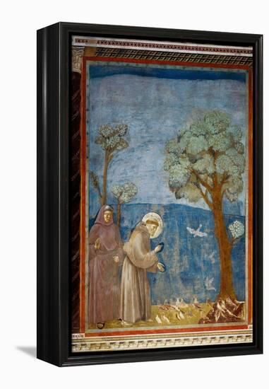 The Preaching To the Birds-Giotto di Bondone-Framed Premier Image Canvas