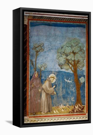 The Preaching To the Birds-Giotto di Bondone-Framed Premier Image Canvas