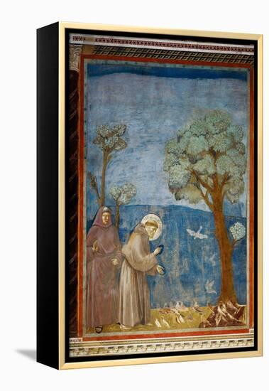 The Preaching To the Birds-Giotto di Bondone-Framed Premier Image Canvas