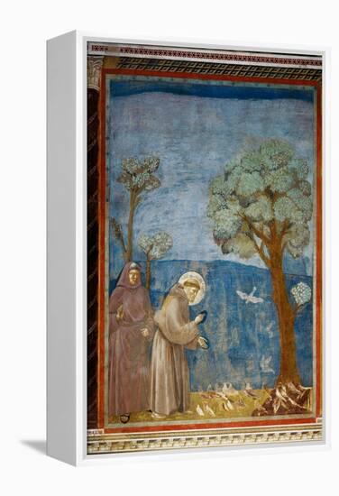 The Preaching To the Birds-Giotto di Bondone-Framed Premier Image Canvas