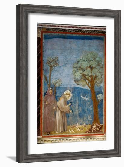 The Preaching To the Birds-Giotto di Bondone-Framed Giclee Print