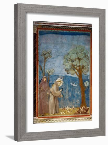 The Preaching To the Birds-Giotto di Bondone-Framed Giclee Print