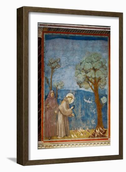 The Preaching To the Birds-Giotto di Bondone-Framed Giclee Print