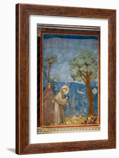 The Preaching To the Birds-Giotto di Bondone-Framed Giclee Print