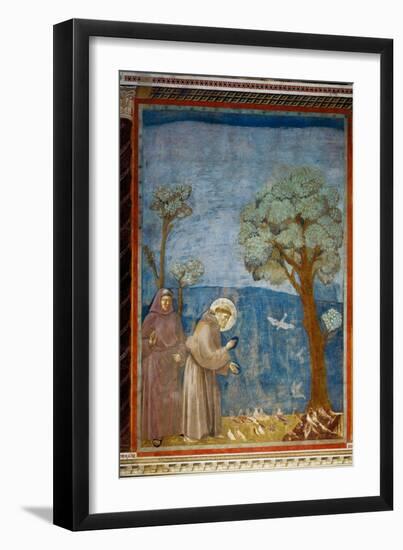 The Preaching To the Birds-Giotto di Bondone-Framed Giclee Print