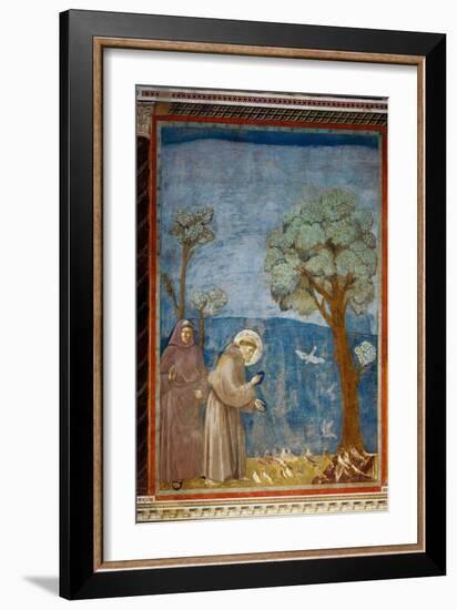 The Preaching To the Birds-Giotto di Bondone-Framed Giclee Print