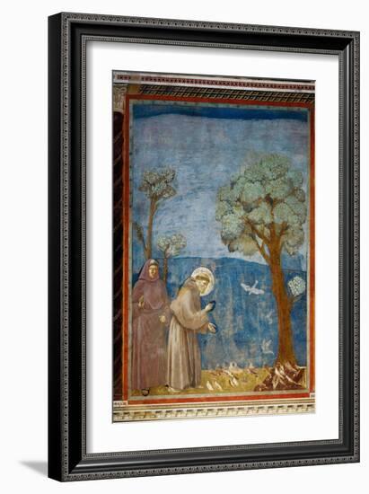 The Preaching To the Birds-Giotto di Bondone-Framed Giclee Print