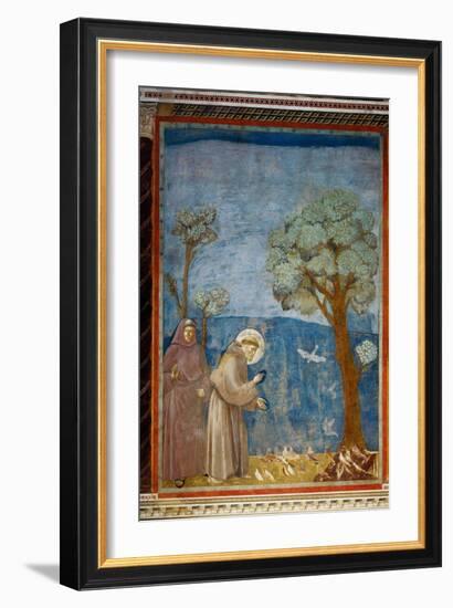 The Preaching To the Birds-Giotto di Bondone-Framed Giclee Print