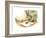 The Present - Turtle-Valeri Gorbachev-Framed Giclee Print