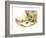 The Present - Turtle-Valeri Gorbachev-Framed Giclee Print