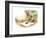 The Present - Turtle-Valeri Gorbachev-Framed Giclee Print