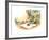 The Present - Turtle-Valeri Gorbachev-Framed Giclee Print