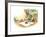 The Present - Turtle-Valeri Gorbachev-Framed Giclee Print