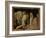 The Presentation in the Temple, about 1465/66-Andrea Mantegna-Framed Giclee Print