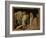 The Presentation in the Temple, about 1465/66-Andrea Mantegna-Framed Giclee Print