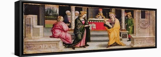 The Presentation in the Temple, C.1510-Pietro Perugino-Framed Premier Image Canvas