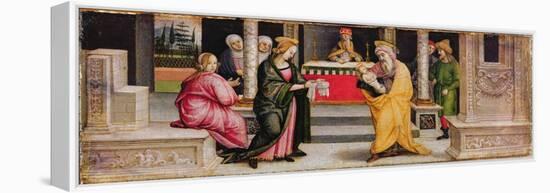 The Presentation in the Temple, C.1510-Pietro Perugino-Framed Premier Image Canvas