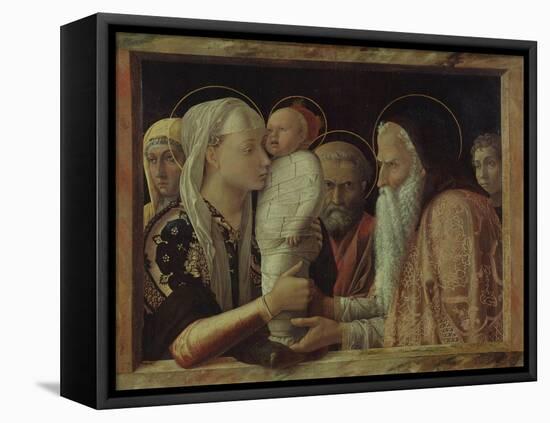 The Presentation in the Temple, Ca 1465-Andrea Mantegna-Framed Premier Image Canvas