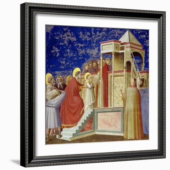 The Presentation of the Virgin at the Temple, circa 1305-Giotto di Bondone-Framed Giclee Print