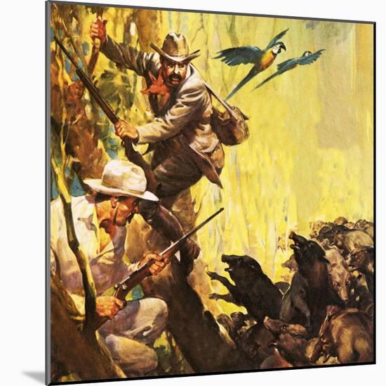 The President Who Loved Adventure: Theodore Roosevelt-McConnell-Mounted Giclee Print