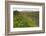 The Presidential Range, Pondicherry NWR, White Mts, New Hampshire-Jerry & Marcy Monkman-Framed Photographic Print