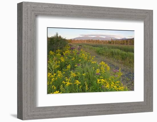 The Presidential Range, Pondicherry NWR, White Mts, New Hampshire-Jerry & Marcy Monkman-Framed Photographic Print