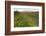 The Presidential Range, Pondicherry NWR, White Mts, New Hampshire-Jerry & Marcy Monkman-Framed Photographic Print