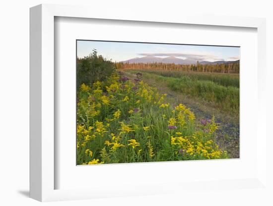 The Presidential Range, Pondicherry NWR, White Mts, New Hampshire-Jerry & Marcy Monkman-Framed Photographic Print