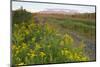 The Presidential Range, Pondicherry NWR, White Mts, New Hampshire-Jerry & Marcy Monkman-Mounted Photographic Print