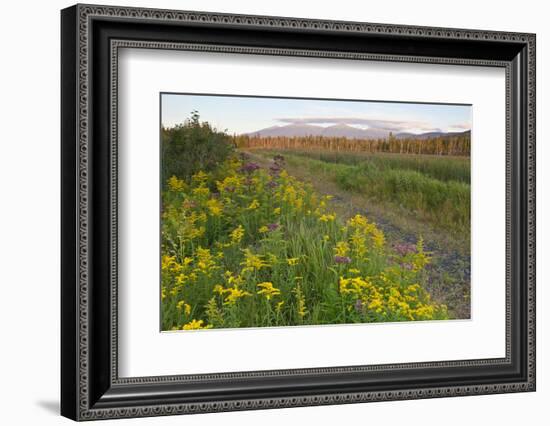 The Presidential Range, Pondicherry NWR, White Mts, New Hampshire-Jerry & Marcy Monkman-Framed Photographic Print