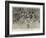 The Press, the New Ballet at the Empire-Frank Craig-Framed Giclee Print