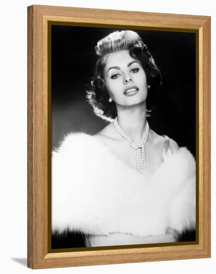 The Pride and the Passion, Sophia Loren, 1957-null-Framed Stretched Canvas