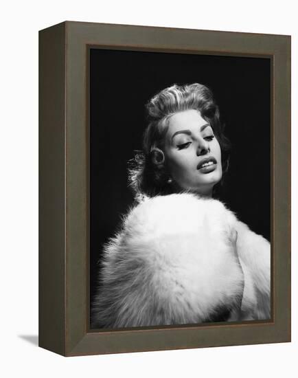 The Pride and the Passion, Sophia Loren, 1957-null-Framed Stretched Canvas