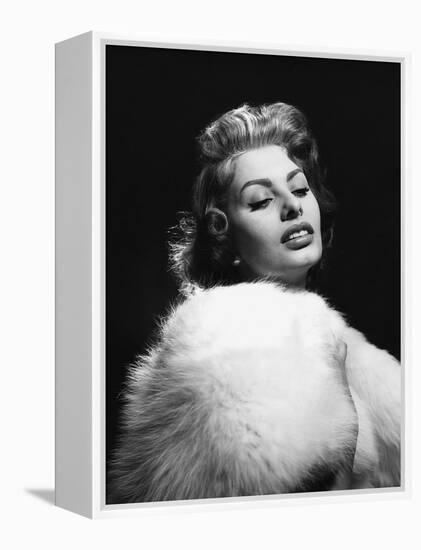 The Pride and the Passion, Sophia Loren, 1957-null-Framed Stretched Canvas