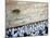 The Priestly Blessing Ceremony By the Western Wall at Succot, Old City, Jerusalem, Israel-null-Mounted Photographic Print