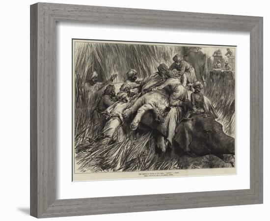 The Prince of Wales in the Terai, Padding a Tiger-Arthur Hopkins-Framed Giclee Print