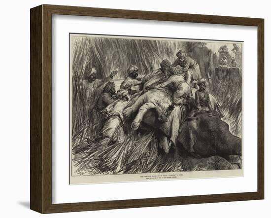 The Prince of Wales in the Terai, Padding a Tiger-Arthur Hopkins-Framed Giclee Print