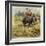 The Prince of Wales Tiger Hunting in India-Henry Payne-Framed Giclee Print