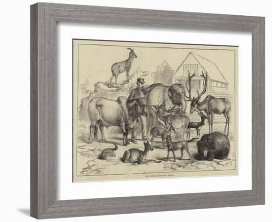 The Prince's Menagerie, Beasts-null-Framed Giclee Print