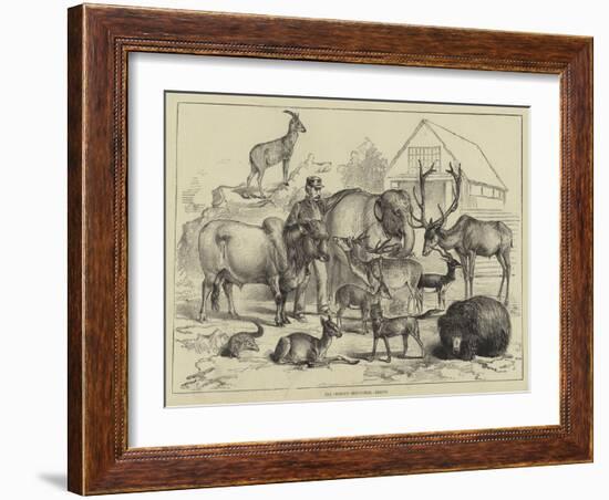 The Prince's Menagerie, Beasts-null-Framed Giclee Print