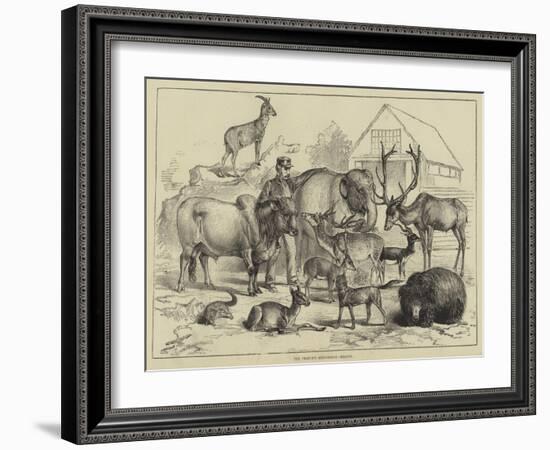 The Prince's Menagerie, Beasts-null-Framed Giclee Print