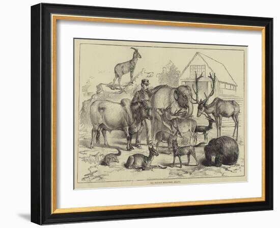 The Prince's Menagerie, Beasts-null-Framed Giclee Print