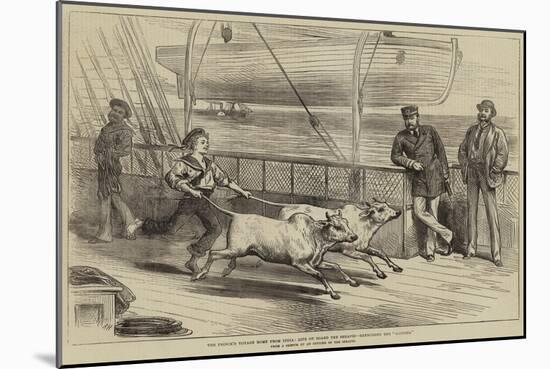 The Prince's Voyage Home from India, Life on Board the Serapis, Exercising the Gainees-Arthur Hopkins-Mounted Giclee Print