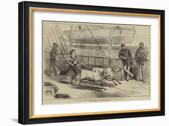 The Prince's Voyage Home from India, Life on Board the Serapis, Exercising the Gainees-Arthur Hopkins-Framed Giclee Print