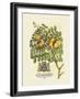 The Prince Saxegotha Botanical-Georg Ehret-Framed Premium Giclee Print