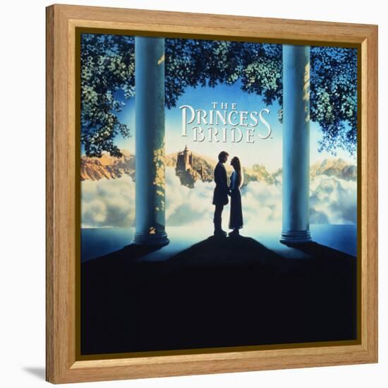 The Princess Bride Video Cover-null-Framed Stretched Canvas