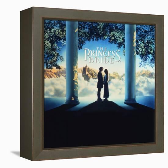 The Princess Bride Video Cover-null-Framed Stretched Canvas