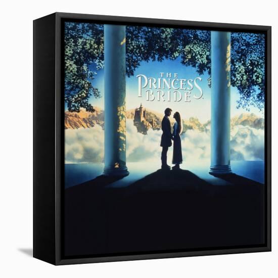 The Princess Bride Video Cover-null-Framed Stretched Canvas