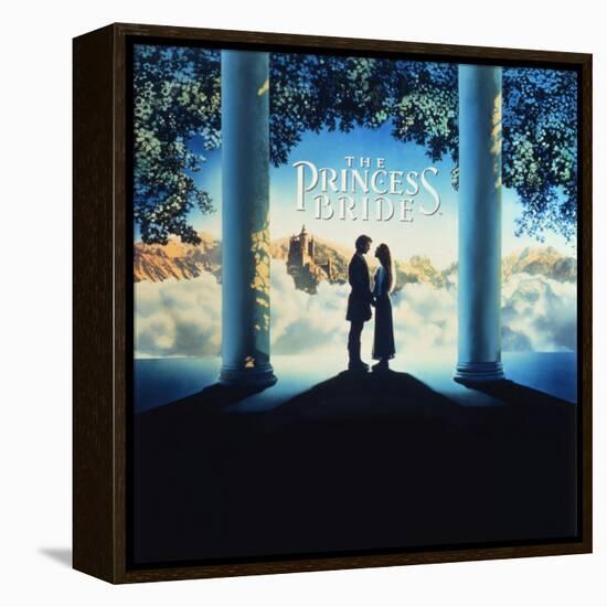 The Princess Bride Video Cover-null-Framed Stretched Canvas